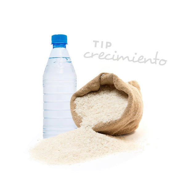 Crecimiento 100% asegurado!