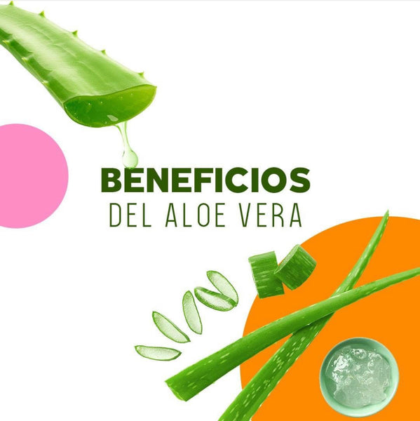 Los Beneficios del Aloe Verá en el Cabello.